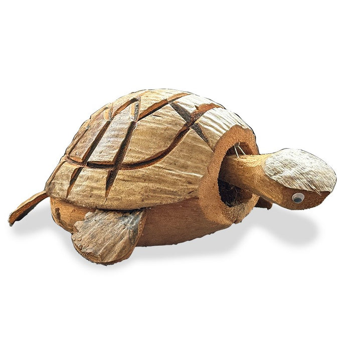 Quest Coconut Nodding Turtle